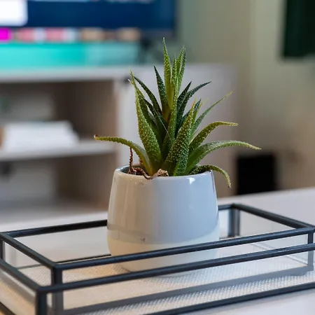 Elegant & Stylish Lägenhet Bristol