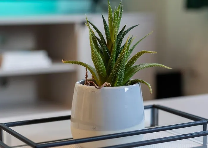 Elegant & Stylish Apartamento Bristol