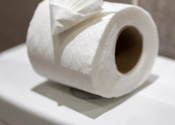 Elegant & Stylish Apartment Bristol